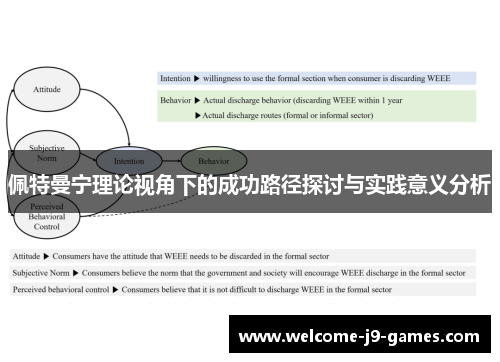 佩特曼宁理论视角下的成功路径探讨与实践意义分析