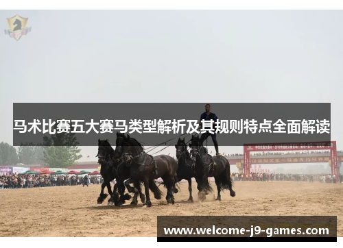 马术比赛五大赛马类型解析及其规则特点全面解读
