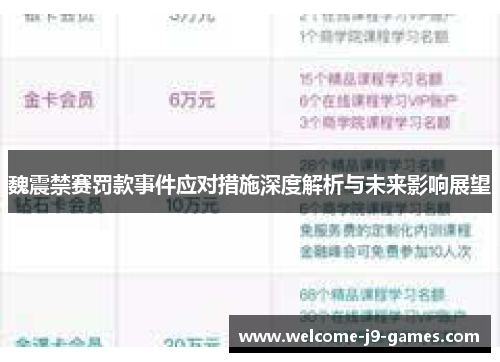 魏震禁赛罚款事件应对措施深度解析与未来影响展望 魏震禁赛罚款事件应对措施深度解析与未来影响展望