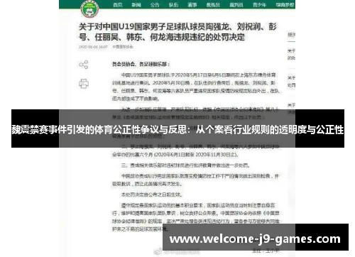魏震禁赛事件引发的体育公正性争议与反思：从个案看行业规则的透明度与公正性